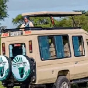 Explore 6 days East and Central Serengeti migration safari: October and November; experience single movement of Wildebeest, Zebra and gazelle for 6 days with Africa Natural Tours and discover unforgettable experiences - Photo 6
