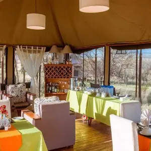 Explore 6-day Northern Serengeti Migration Safari during the Mara River Crossing in July, August and September for 6 days with Africa Natural Tours and discover unforgettable experiences - Photo 5