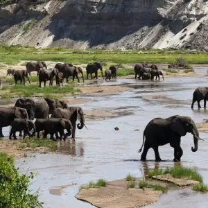 Explore The Best 9 Days African Safari Experience with Reasonable Price. for 9 days with Africa Natural Tours and discover unforgettable experiences - Photo 4