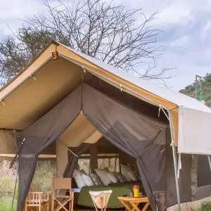 Explore 7-Day Eastern and Central Serengeti Migration Safari for an Unforgettable Adventure. for 7 days with Africa Natural Tours and discover unforgettable experiences - Photo 6