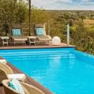 Explore The Best 9 Days African Safari Experience with Reasonable Price. for 9 days with Africa Natural Tours and discover unforgettable experiences - Photo 5