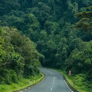 Explore 9 Days Rwanda Tour for 9 days with African Travellers and discover unforgettable experiences - Photo 4