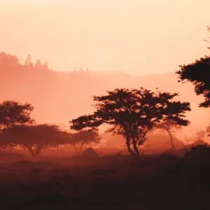 Explore 3 Days Rwanda authentic Rwanda Tour for 3 days with African Travellers and discover unforgettable experiences - Photo 4