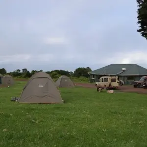 Explore 6-Days Private Budget Safari: Tarangire, Serengeti & Ngorongoro for 6 days with African Polecat Safaris and discover unforgettable experiences - Photo 6