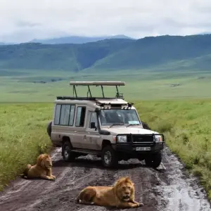 Explore 5-Day Wildebeest Migration Fly-In Private Mid-range Safari for 5 days with African Polecat Safaris and discover unforgettable experiences - Photo 2