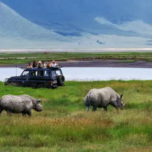 Explore 8-Days Private Budget Safari; Serengeti, Ngorongoro & Materuni for 8 days with African Polecat Safaris and discover unforgettable experiences - Photo 4