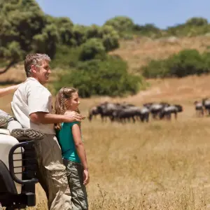Explore 6-Days Private Budget Safari: Tarangire, Serengeti & Ngorongoro for 6 days with African Polecat Safaris and discover unforgettable experiences - Photo 7