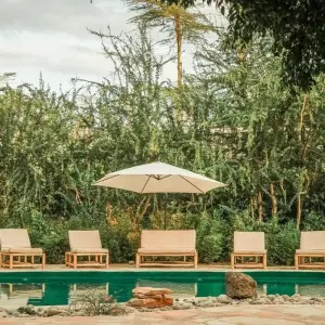 Explore 8-Days Private Midrange Family Safari for 8 days with African Polecat Safaris and discover unforgettable experiences - Photo 4