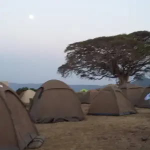 Explore 8-Days Private Budget Safari; Serengeti, Ngorongoro & Materuni for 8 days with African Polecat Safaris and discover unforgettable experiences - Photo 6