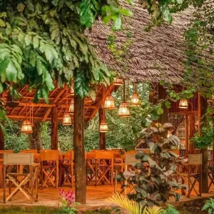 Explore 4-Days Private Midrange Safari; Tarangire, Ngorongoro Crater and Materuni waterfalls for 4 days with African Polecat Safaris and discover unforgettable experiences - Photo 3