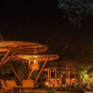 Explore 4-Day Private Midrange Safari: Tarangire, Ngorongoro & Kilimanjaro Day Hiking for 4 days with African Polecat Safaris and discover unforgettable experiences - Photo 5