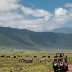 Explore 9-Days Private Midrange Migration Safari: Serengeti, Tarangire & Ngorongoro Crater for 9 days with African Polecat Safaris and discover unforgettable experiences - Photo 6