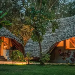 Explore 8-Days Private Midrange Family Safari for 8 days with African Polecat Safaris and discover unforgettable experiences - Photo 6