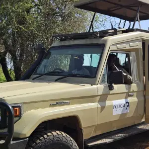 Explore 5-Days Fly-in from Zanzibar private Luxury safari Serengeti, Ngorongoro & Tarangire for 5 days with African Polecat Safaris and discover unforgettable experiences - Photo 11