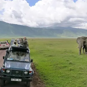 Explore 5-Days Private Luxury Safari: Tarangire, Serengeti & Ngorongoro for 5 days with African Polecat Safaris and discover unforgettable experiences - Photo 2