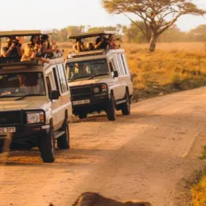 Explore 6-Days Private Budget Safari: Tarangire, Serengeti & Ngorongoro for 6 days with African Polecat Safaris and discover unforgettable experiences - Photo 11