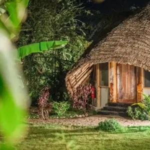 Explore 8-Days Private Midrange Family Safari for 8 days with African Polecat Safaris and discover unforgettable experiences - Photo 8