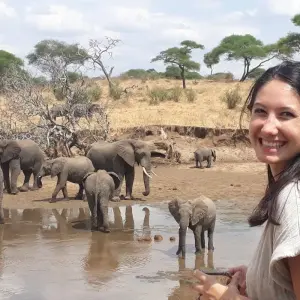 Explore 9-Days Private Midrange Migration Safari: Serengeti, Tarangire & Ngorongoro Crater for 9 days with African Polecat Safaris and discover unforgettable experiences - Photo 9
