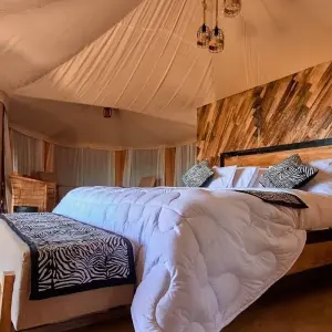 Explore 5-Days Private Luxury Safari: Tarangire, Serengeti & Ngorongoro for 5 days with African Polecat Safaris and discover unforgettable experiences - Photo 5