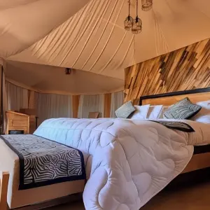 Explore 8-Days Private Midrange Family Safari for 8 days with African Polecat Safaris and discover unforgettable experiences - Photo 10