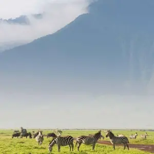 Explore 5-Days Private Luxury Safari: Tarangire, Serengeti & Ngorongoro for 5 days with African Polecat Safaris and discover unforgettable experiences - Photo 6
