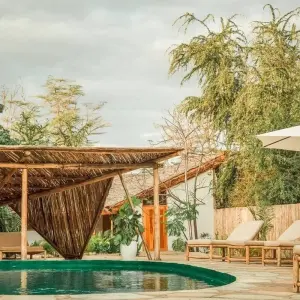 Explore 4-Days Private Midrange Safari; Tarangire, Ngorongoro Crater and Materuni waterfalls for 4 days with African Polecat Safaris and discover unforgettable experiences - Photo 11