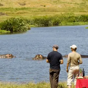 Explore 3-Days Tarangire & Ngorongoro Luxury Safari From & To Zanzibar for 3 days with African Polecat Safaris and discover unforgettable experiences - Photo 3