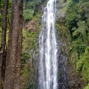 Explore 1-Day Private Materuni Village, Waterfalls for 1 days with African Polecat Safaris and discover unforgettable experiences - Photo 6