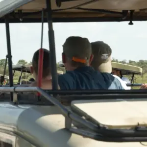 Explore 5-Days Private Mid-range safari Visiting All Tanzania Northern Circuit parks for 5 days with African Polecat Safaris and discover unforgettable experiences - Photo 3