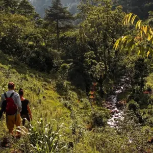 Explore 1-Day Private Materuni Village, Waterfalls for 1 days with African Polecat Safaris and discover unforgettable experiences - Photo 9