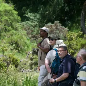 Explore 1-Day Private Materuni Village, Waterfalls for 1 days with African Polecat Safaris and discover unforgettable experiences - Photo 10