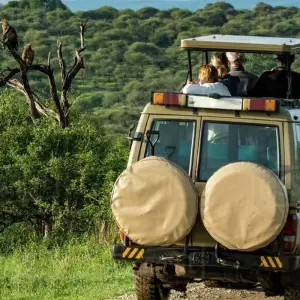 Explore 5-Days Private Mid-range safari Visiting All Tanzania Northern Circuit parks for 5 days with African Polecat Safaris and discover unforgettable experiences - Photo 8
