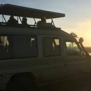 Explore 7-Days Camping safari to most visited National Parks in Africa for 7 days with African Polecat Safaris and discover unforgettable experiences - Photo 10