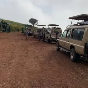 Explore 10 days The Best of Kenya Tanzania Combine Tour for 10 days with Afrishare Trekking And Safaris and discover unforgettable experiences - Photo 5