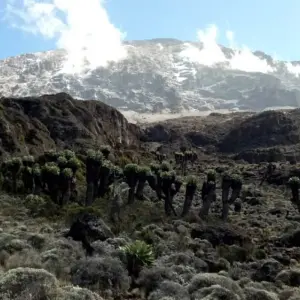 Explore 7 Day Mount Kilimanjaro trekking via Machame route for 7 days with Afrishare Trekking And Safaris and discover unforgettable experiences - Photo 3