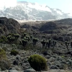 Explore 7 Day Mount Kilimanjaro trekking via Machame route for 7 days with Afrishare Trekking And Safaris and discover unforgettable experiences - Photo 5