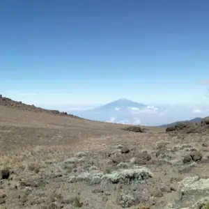 Explore 7 Day Mount Kilimanjaro trekking via Machame route for 7 days with Afrishare Trekking And Safaris and discover unforgettable experiences - Photo 6