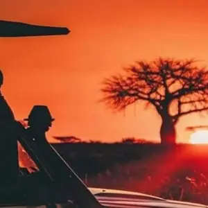 Explore 3 Day Best of Selous/Nyerere National Park for 3 days with Afrishare Trekking And Safaris and discover unforgettable experiences - Photo 5