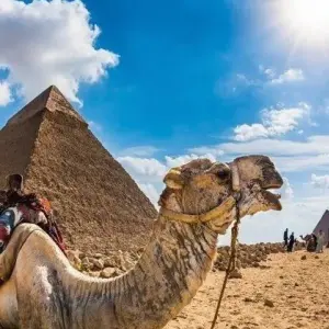 Explore Cairo and Siwa Oasis Unique Experience for 7 days with Agazat Club and discover unforgettable experiences - Photo 2