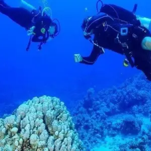 Explore Cairo, The Nile & Red Sea Vacation for 11 days with Agazat Club and discover unforgettable experiences - Photo 3