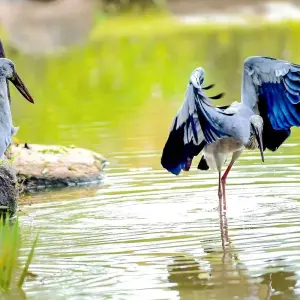 Explore 5 Days Private Tailor-Made Bangladesh Tour, Daily Start for 5 days with Agate Travel and discover unforgettable experiences - Photo 5
