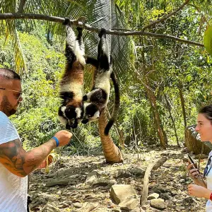 Explore Tailor-made Madagascar Family Tour for Baobabs & Lemurs, Daily Start for 15 days with Agate Travel and discover unforgettable experiences - Photo 3