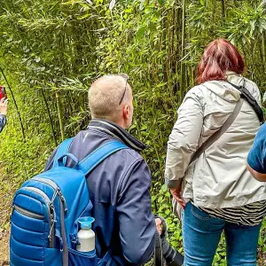 Explore Tailor-made Madagascar Family Tour for Baobabs & Lemurs, Daily Start for 15 days with Agate Travel and discover unforgettable experiences - Photo 4