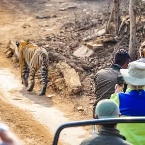 Explore 6 Days Customized Private Bangladesh Sundarbans Safari Tour for 6 days with Agate Travel and discover unforgettable experiences - Photo 6