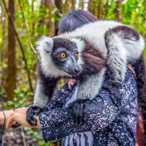 Explore Tailor-made Madagascar Great Ring Discovery, Private Jeep for 18 days with Agate Travel and discover unforgettable experiences - Photo 6