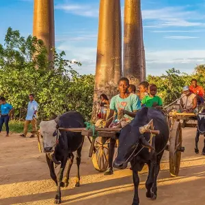 Explore Tailor-made Madagascar Family Tour for Baobabs & Lemurs, Daily Start for 15 days with Agate Travel and discover unforgettable experiences - Photo 6