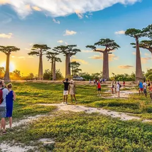 Explore Customized In-depth Madagascar Wildlife Adventure, No Group for 22 days with Agate Travel and discover unforgettable experiences - Photo 8