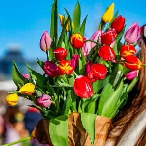 Explore Tailor-Made Best Netherlands Tour with Daily Departure for 6 days with Agate Travel and discover unforgettable experiences - Photo 6