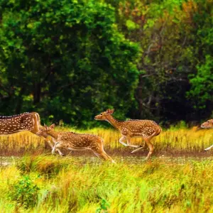 Explore 15 Days Customized Best Bangladesh Tour, Private Guide for 15 days with Agate Travel and discover unforgettable experiences - Photo 8