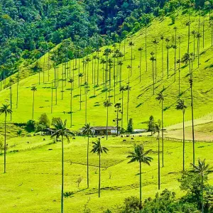 Explore Tailor-Made Colombia Family Tour, Daily Depart & Private Guide for 8 days with Agate Travel and discover unforgettable experiences - Photo 4